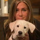 Illustration for article titled All the Celebrities Who Spent Thanksgiving With Their Dogs